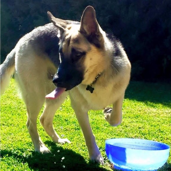 Additional pics - Picture 1 of 16